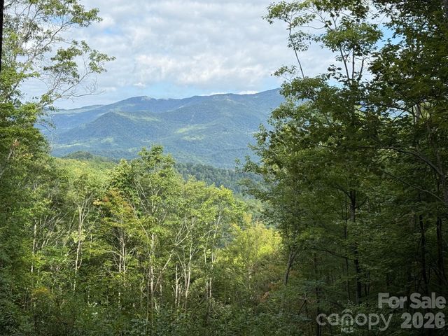 LT 262 Tote Road 262, Sylva, NC 28779