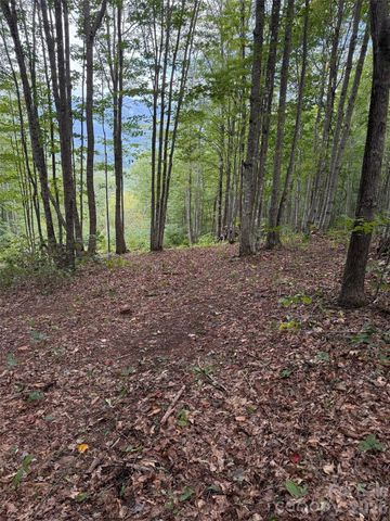 LT 262 Tote Road 262, Sylva, NC 28779
