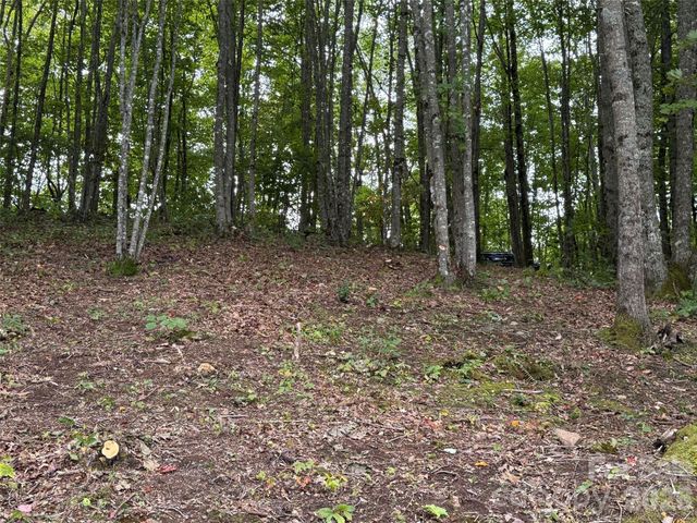 LT 262 Tote Road 262, Sylva, NC 28779