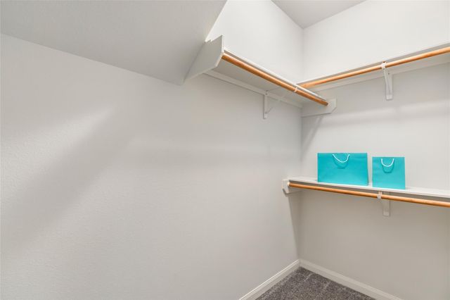 10776 S Lake Mist Lane, Willis, TX 77318