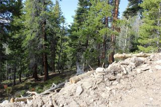 4-1 Lamertine Road, Idaho Springs, CO 80452