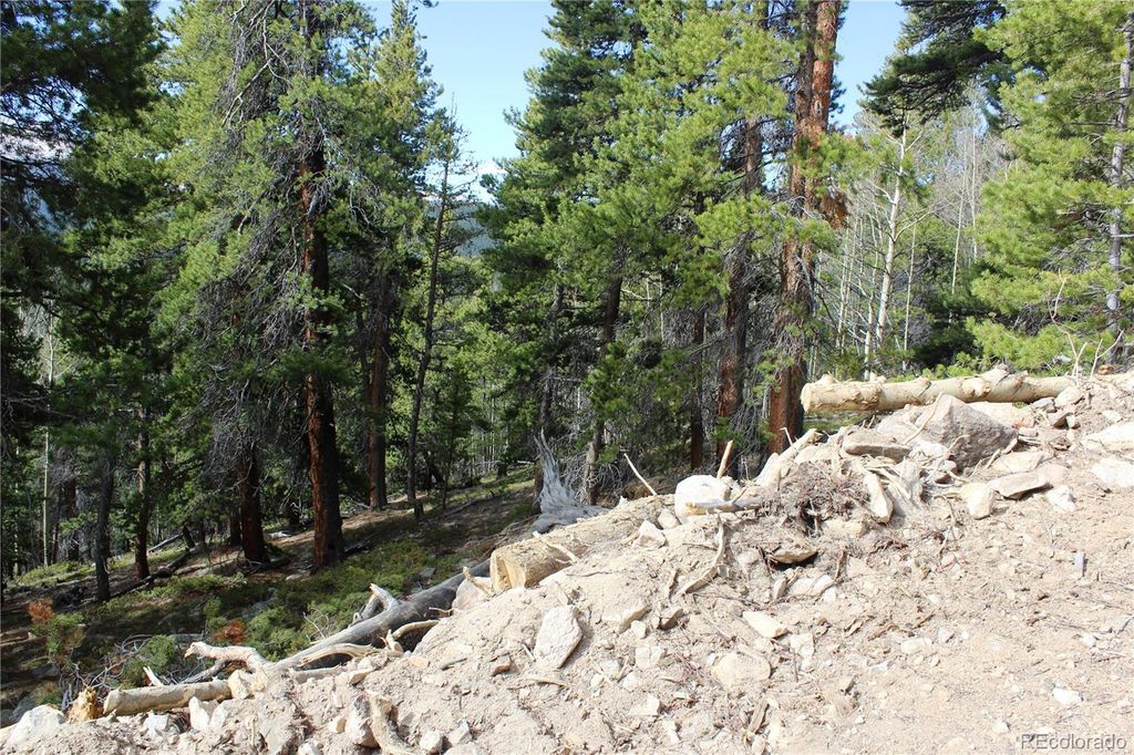 4-1 Lamertine Road, Idaho Springs, CO 80452
