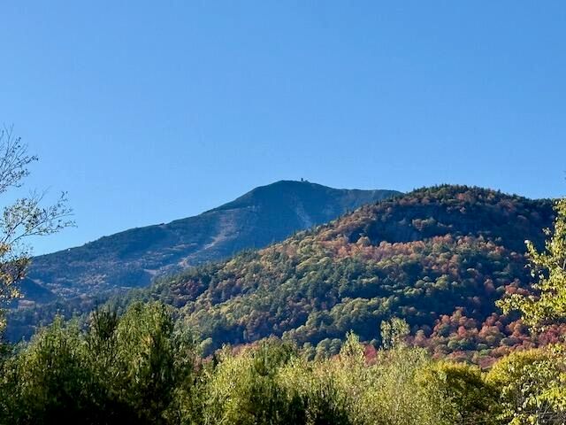 0 Fox Farm Rd. Road, Wilmington, NY 12997