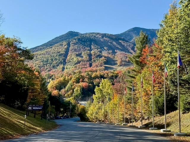 0 Fox Farm Rd. Road, Wilmington, NY 12997