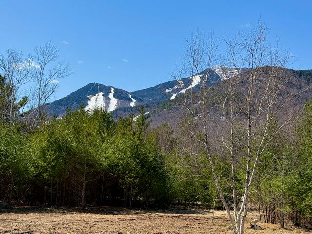 0 Fox Farm Rd. Road, Wilmington, NY 12997