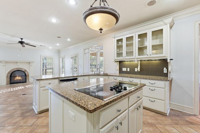 4505 Sawgrass Cove, Conway, AR 72034