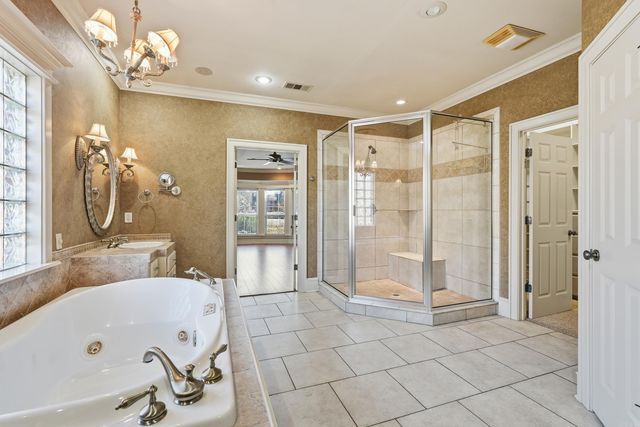 4505 Sawgrass Cove, Conway, AR 72034