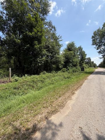 1528 Scroggins Lane, Waller, TX 77484