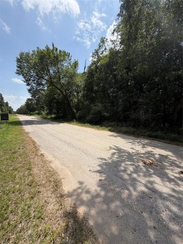 1528 Scroggins Lane, Waller, TX 77484