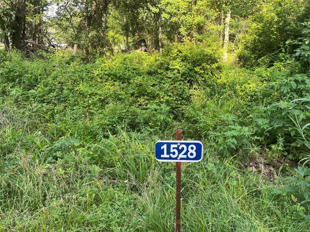 1528 Scroggins Lane, Waller, TX 77484