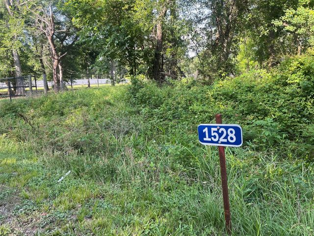 1528 Scroggins Lane, Waller, TX 77484
