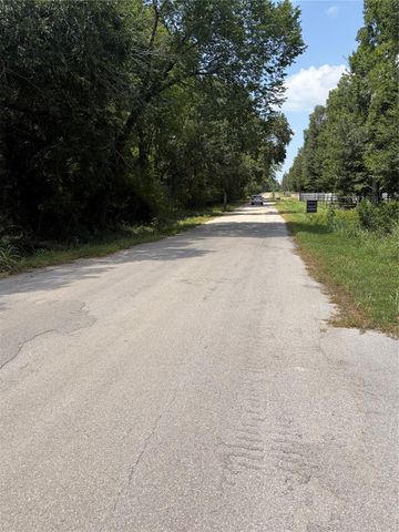 1528 Scroggins Lane, Waller, TX 77484