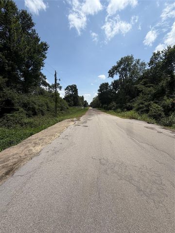 1528 Scroggins Lane, Waller, TX 77484
