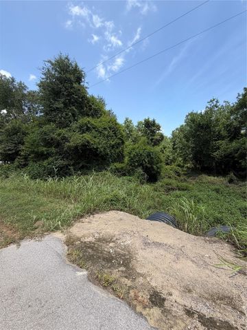 1528 Scroggins Lane, Waller, TX 77484