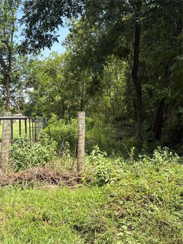 1528 Scroggins Lane, Waller, TX 77484