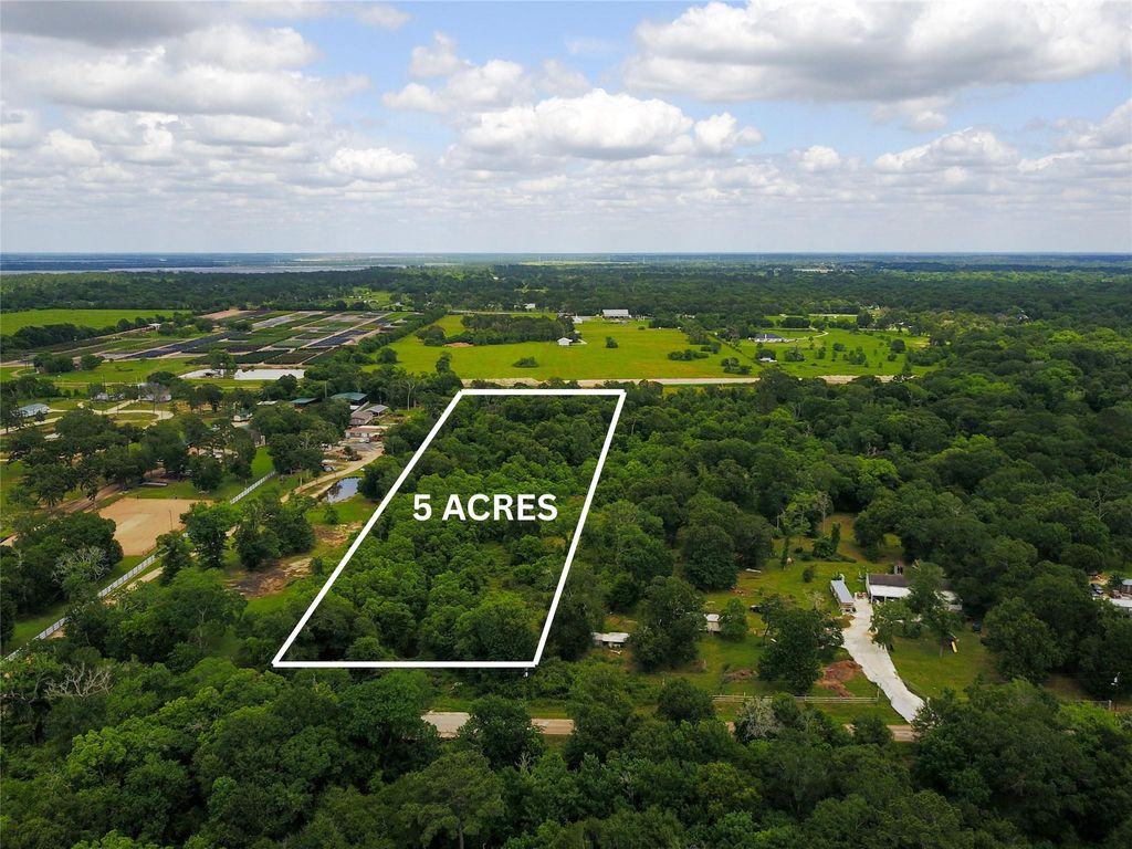 1528 Scroggins Lane, Waller, TX 77484