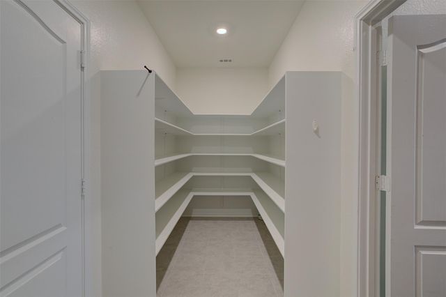 14116 Flawless Flora DR, Pflugerville, TX 78660