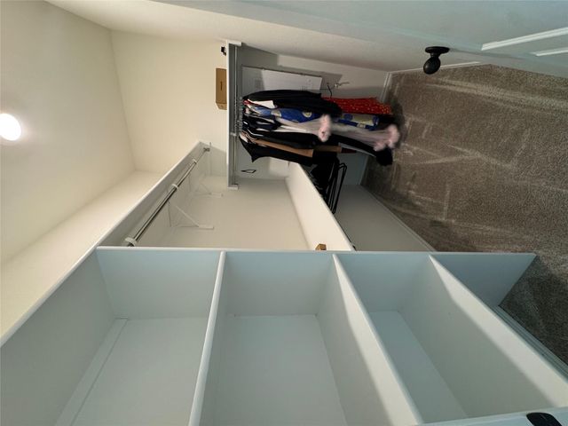 14116 Flawless Flora DR, Pflugerville, TX 78660