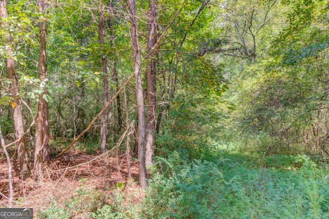 7207 Spout Springs Road, Flowery Branch, GA 30542