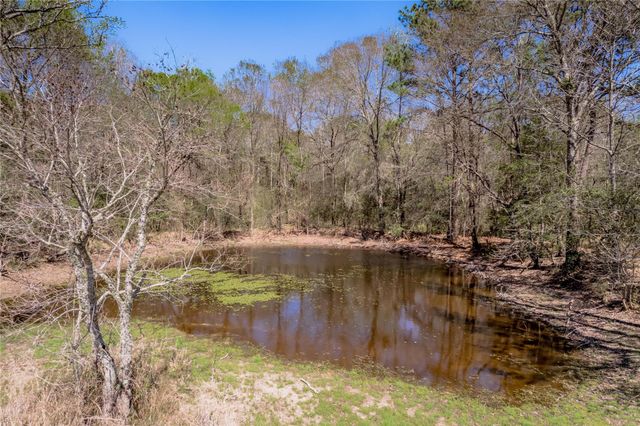 1533 Kickapoo Road, Groveton, TX 75845