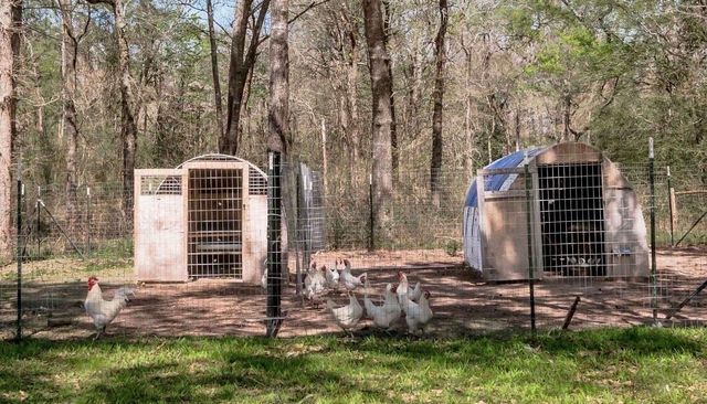 1533 Kickapoo Road, Groveton, TX 75845