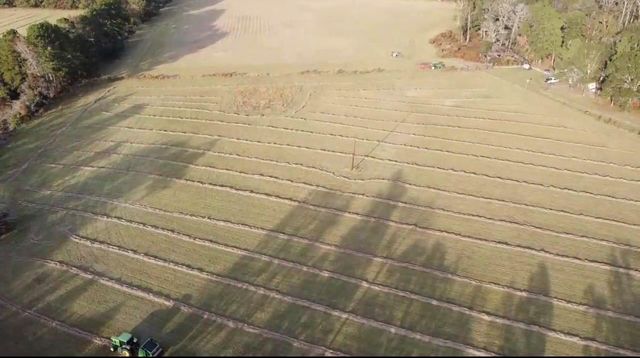 1533 Kickapoo Road, Groveton, TX 75845