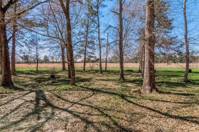 1533 Kickapoo Road, Groveton, TX 75845
