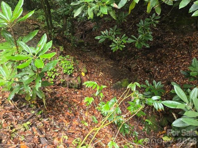 4105 Pickens Highway, Rosman, NC 28772