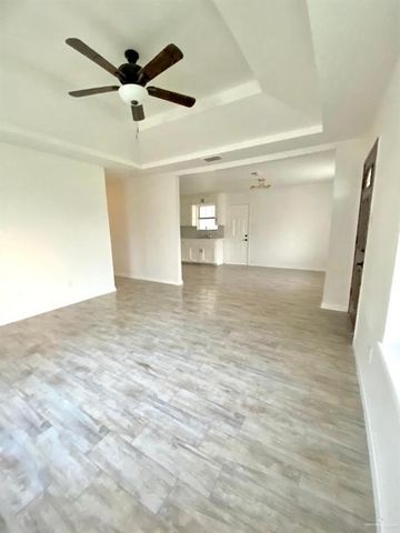 743 Hernandez Drive, Donna, TX 78537