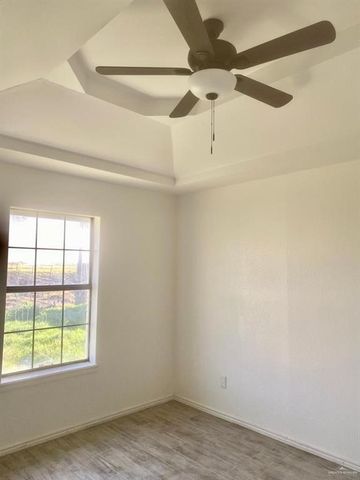 743 Hernandez Drive, Donna, TX 78537