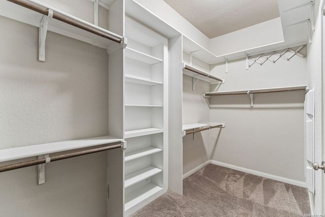 3103 BLENHEIM PARK, Bulverde, TX 78163