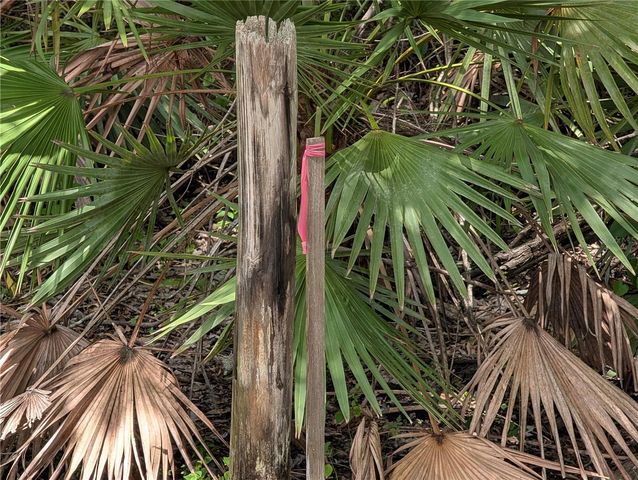JEFFERSON AVENUE, Orlando, FL 32820