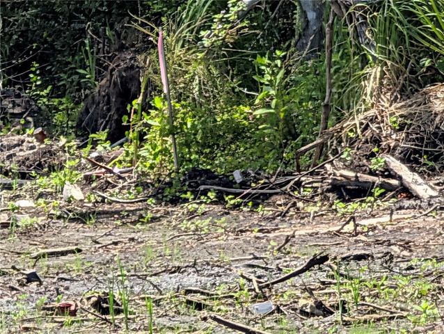 JEFFERSON AVENUE, Orlando, FL 32820