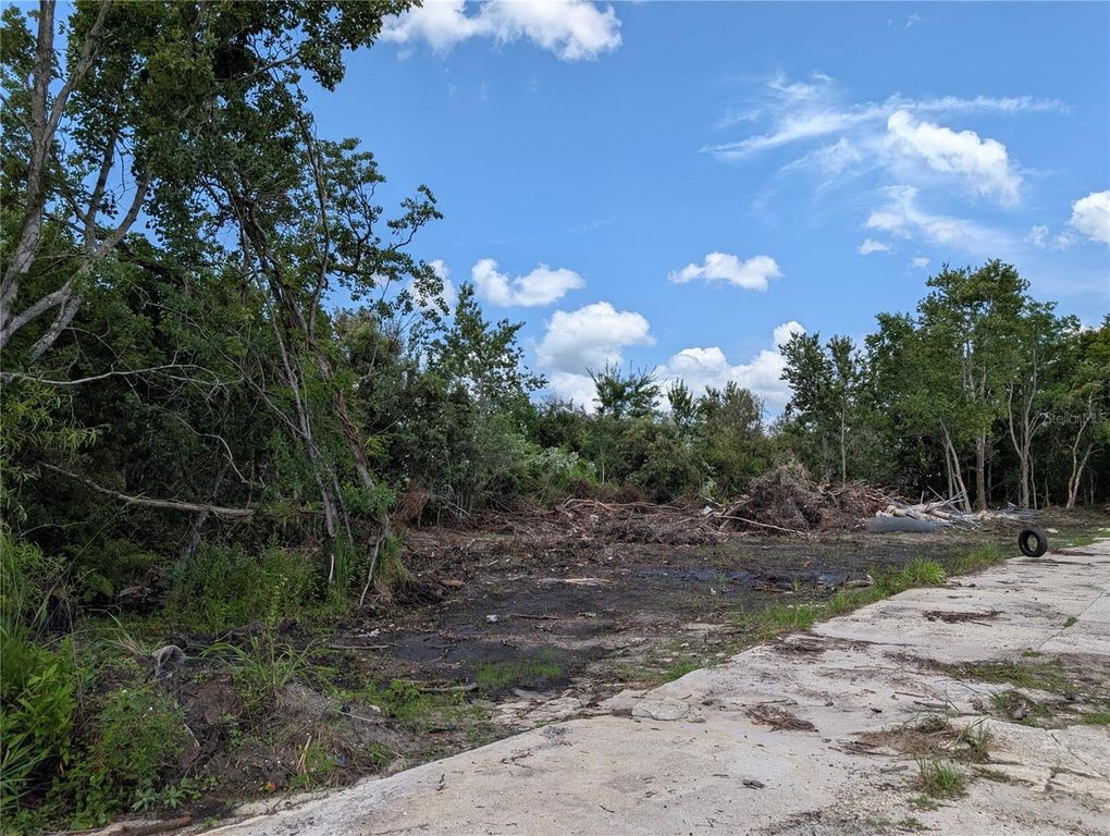 JEFFERSON AVENUE, Orlando, FL 32820