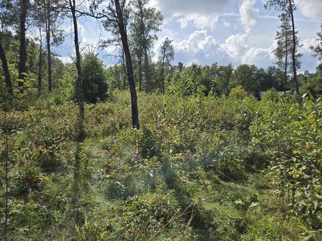 491 St Andrews Trail, Nekoosa, WI 54457