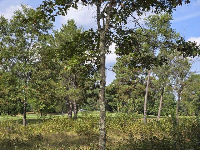 491 St Andrews Trail, Nekoosa, WI 54457