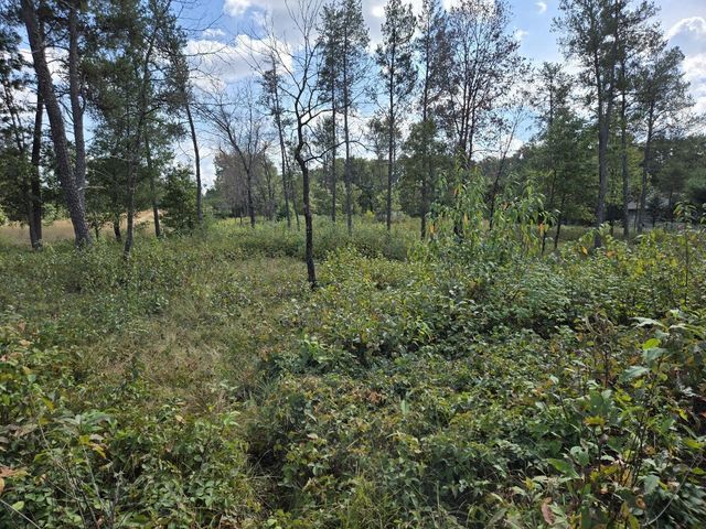 491 St Andrews Trail, Nekoosa, WI 54457