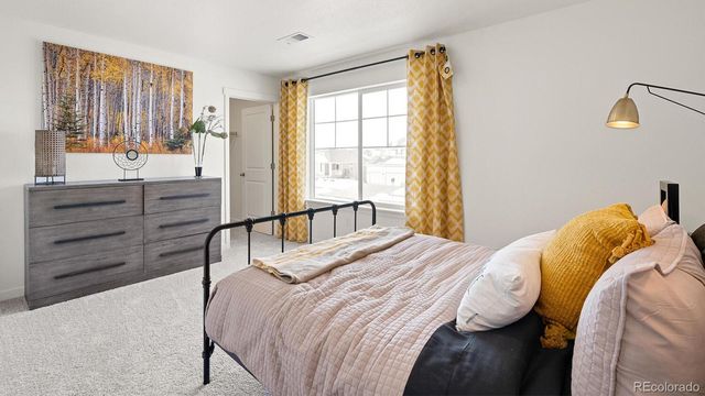 5539 Horro Street, Windsor, CO 80528