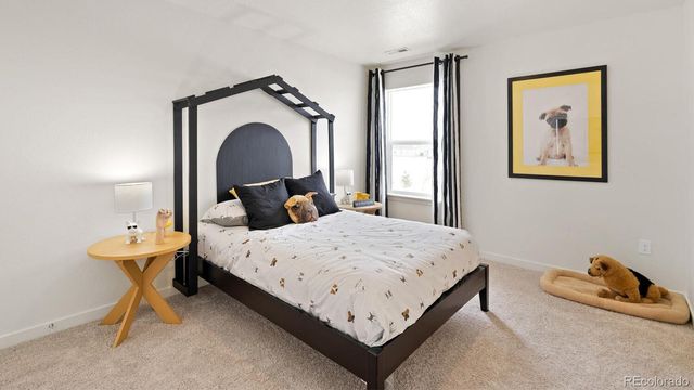 5539 Horro Street, Windsor, CO 80528