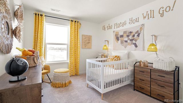 5539 Horro Street, Windsor, CO 80528