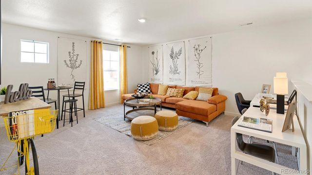 5539 Horro Street, Windsor, CO 80528