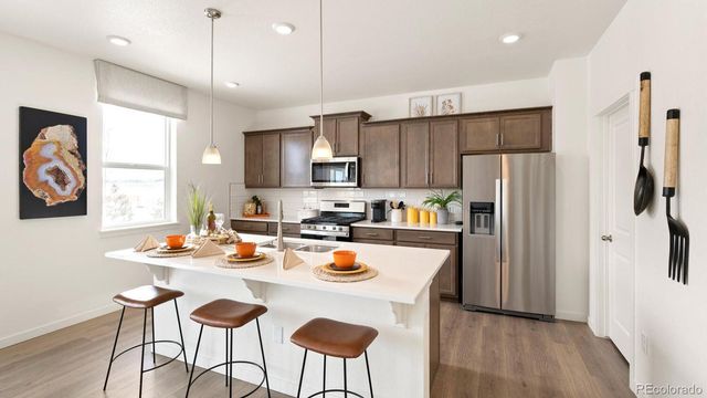 5539 Horro Street, Windsor, CO 80528