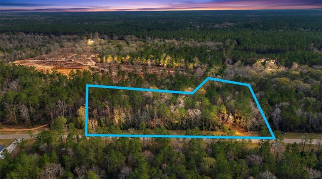 10733 Ruger Road, Willis, TX 77378