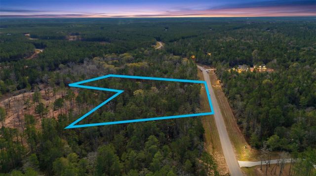 10733 Ruger Road, Willis, TX 77378