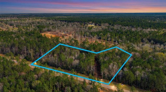 10733 Ruger Road, Willis, TX 77378