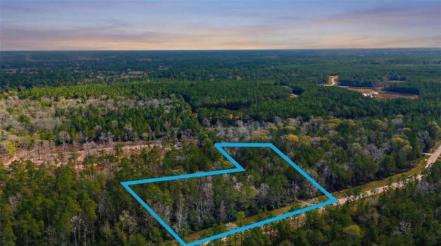 10733 Ruger Road, Willis, TX 77378