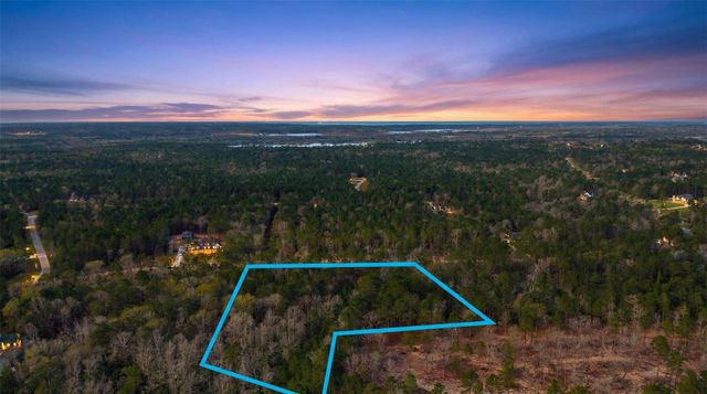 10733 Ruger Road, Willis, TX 77378