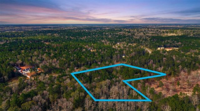 10733 Ruger Road, Willis, TX 77378