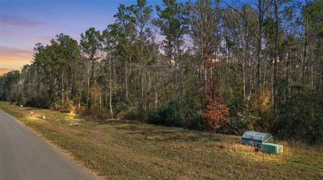 10733 Ruger Road, Willis, TX 77378