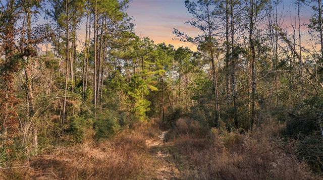 10733 Ruger Road, Willis, TX 77378